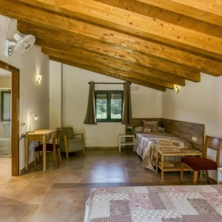 Apartment Mas Plantalech Girona